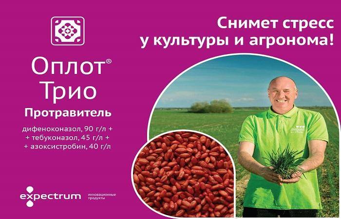 Инструкция по применению и состав фунгицида амистара трио, норма расхода