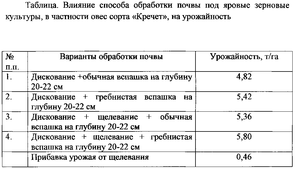 Возделывание кукурузы: технология выращивания от посева до уборки