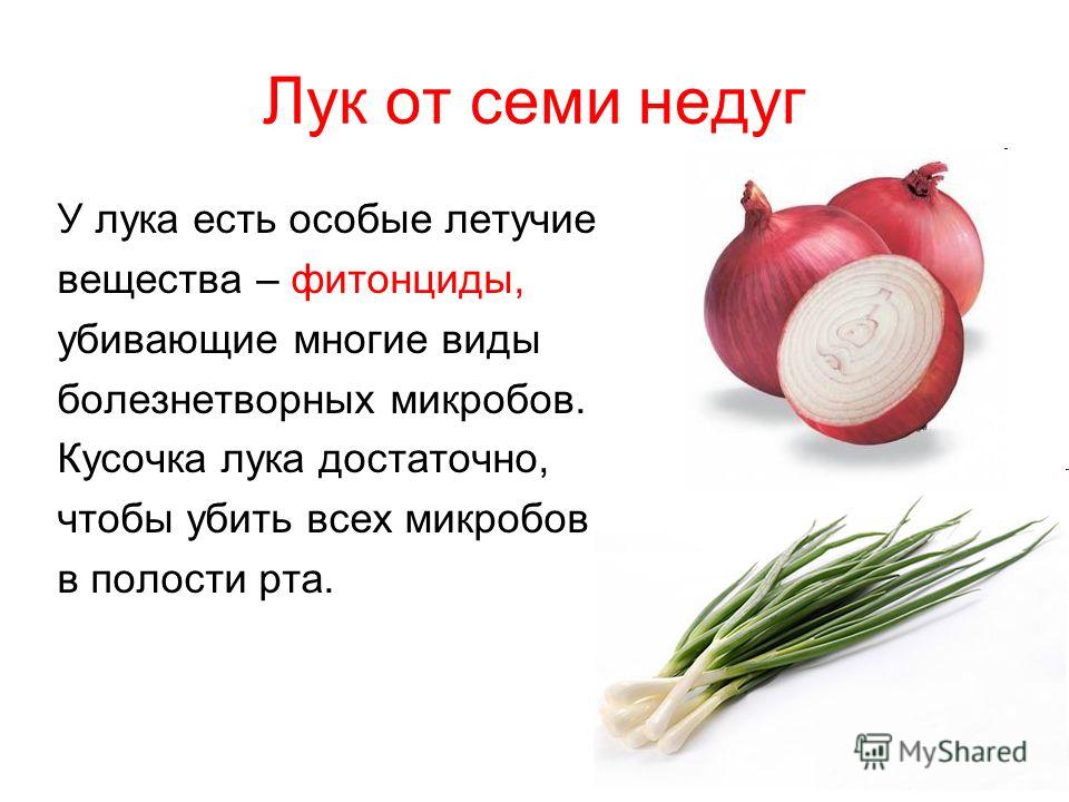 Повышенное потоотделение: при каких заболеваниях человек сильно потеет