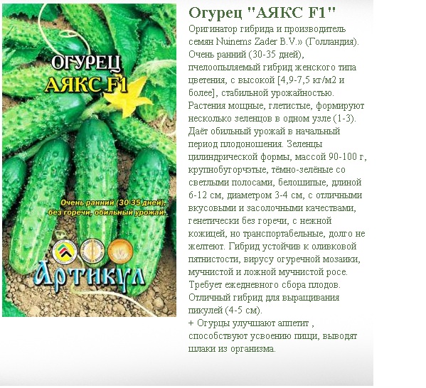 Семена Огурец Аякс F1: описание сорта, фото - купить с доставкой или почтой Росс