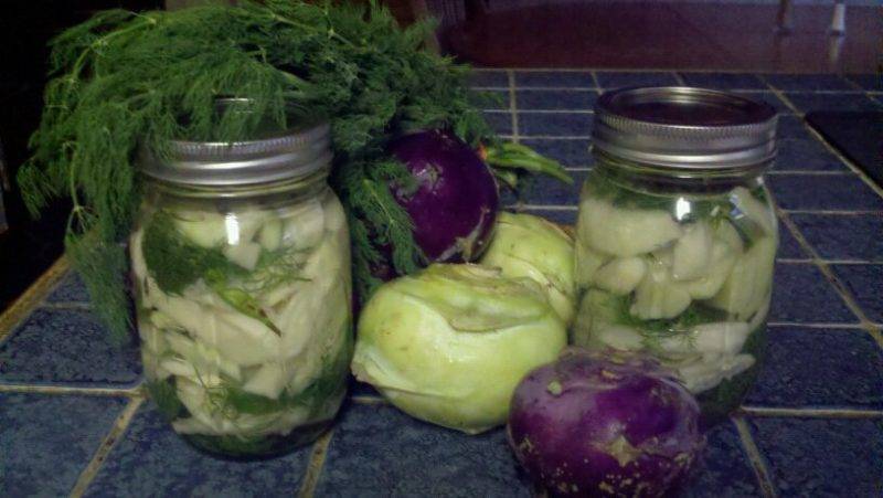 Капуста кольраби – заготовки на зиму, способы хранения и рецепты консервирования + видео