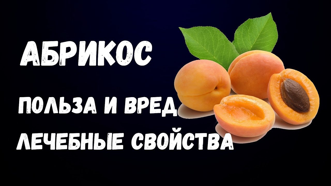 Апельсин: полезные свойства | food and health