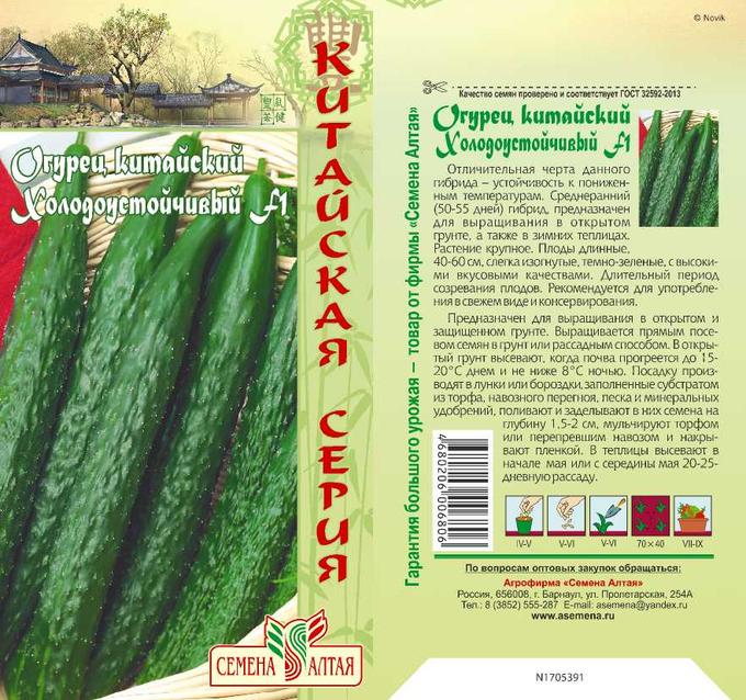 Урожайные огурцы для открытого грунта: самоопыляемые сорта, фото