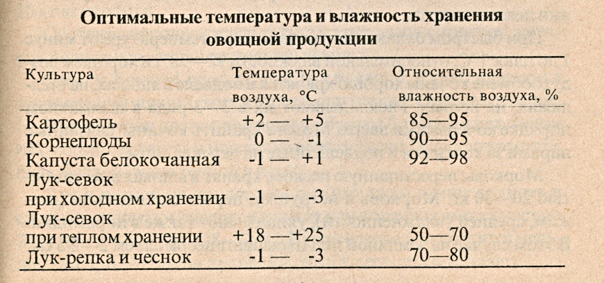 Как хранить картошку в квартире летом и зимой?