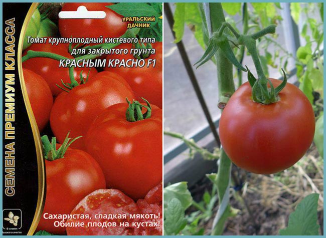 Томат красным красно f1: отзывы, фото, урожайность, характеристика, особенности выращивания