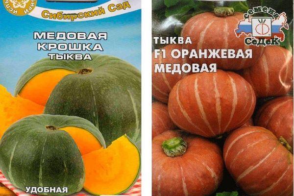 Тыква медовая: характеристика и описание гибридного сорта с фото