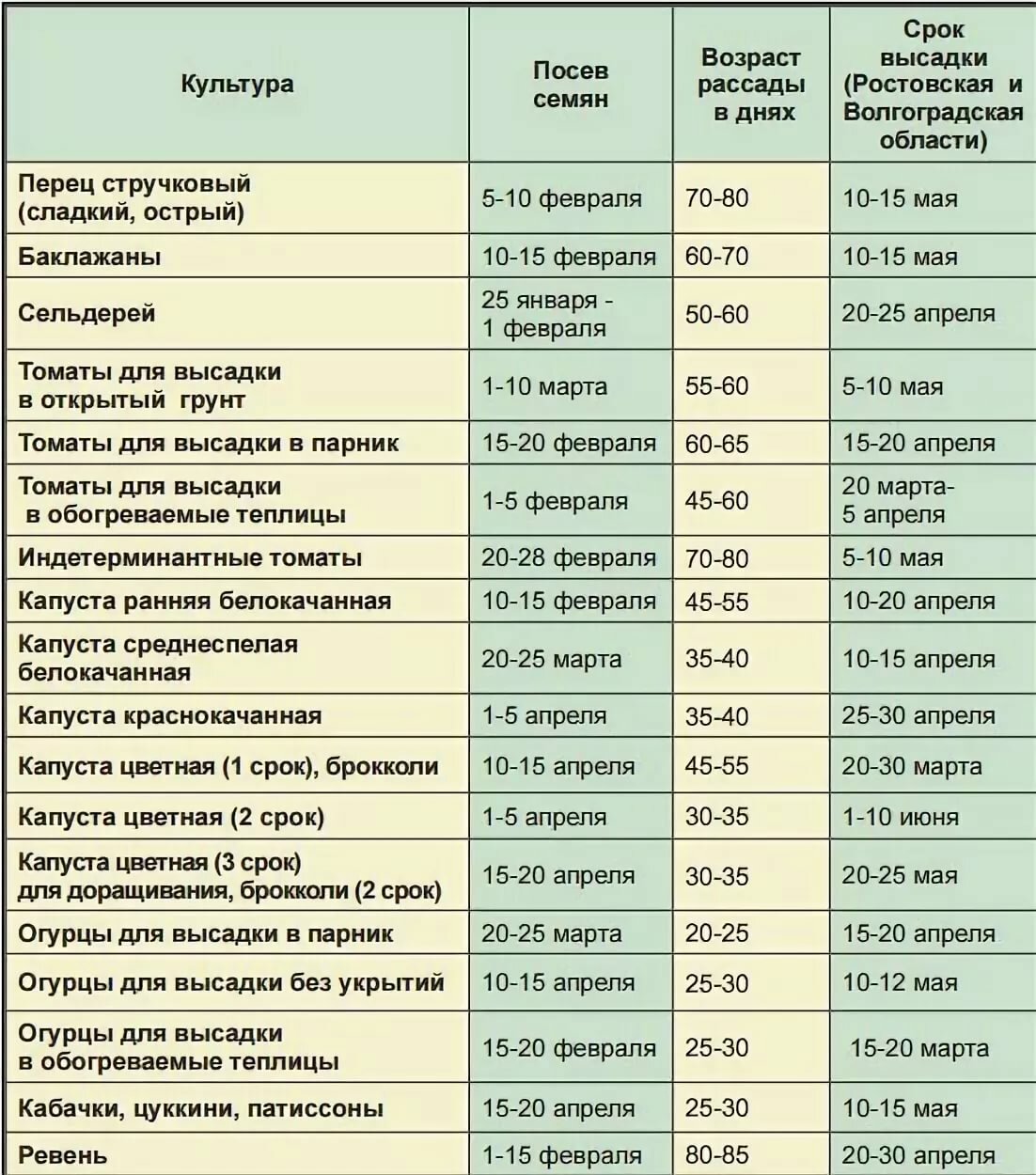 Самоопыляемые пучковые огурцы: 20 сортов для открытого грунта и теплицы