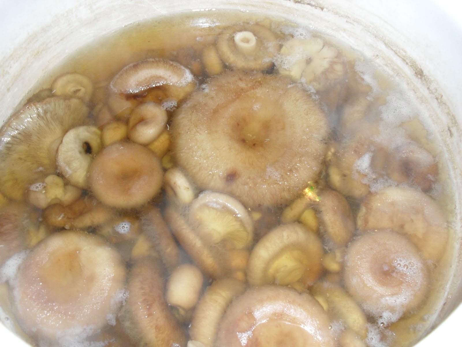 Солёные грибы - универсальный рецепт - заготовки на зиму лучшие рецепты