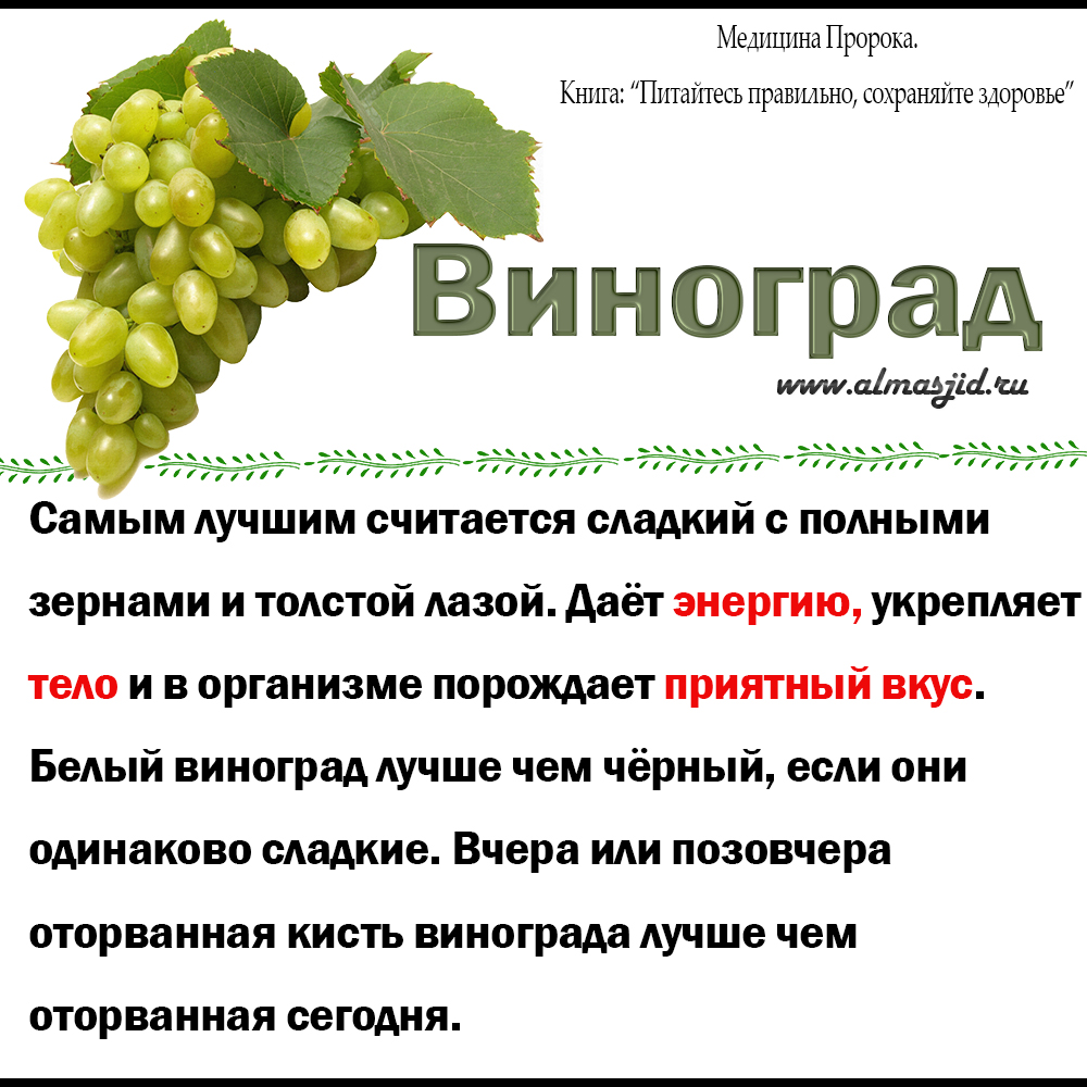 Виноград: польза и вред для организма женщины, состав, свойства