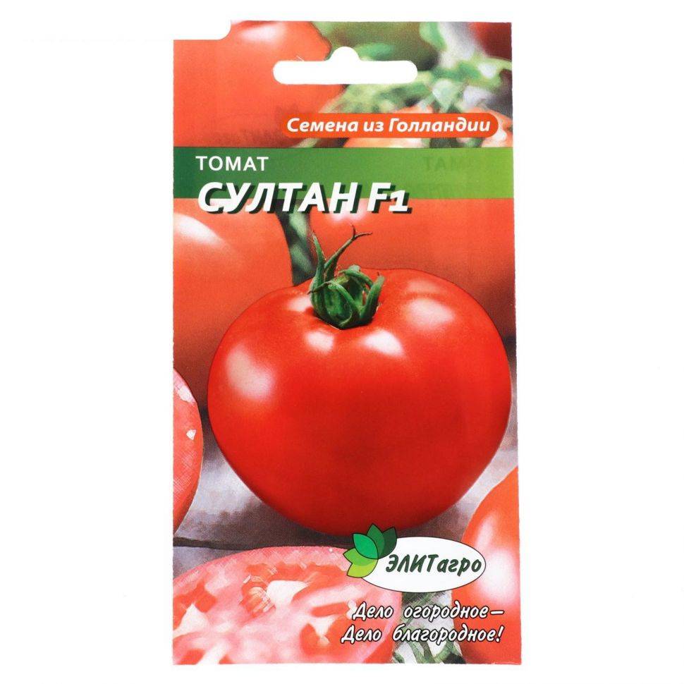 Фото, видео, отзывы, описание, характеристика, урожайность гибрида помидора «султан f1».