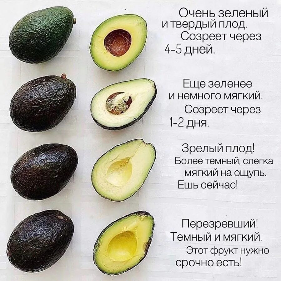 авокадо полезные свойства фото