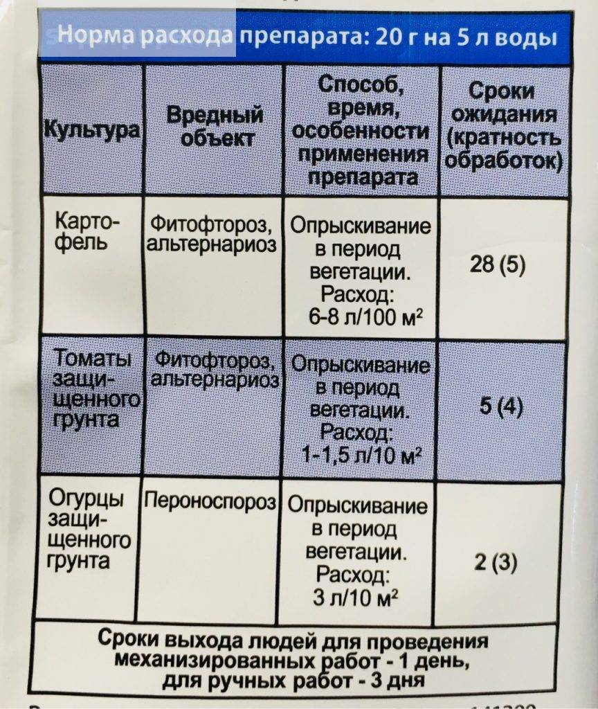Болезни огурцов: меры борьбы и профилактика