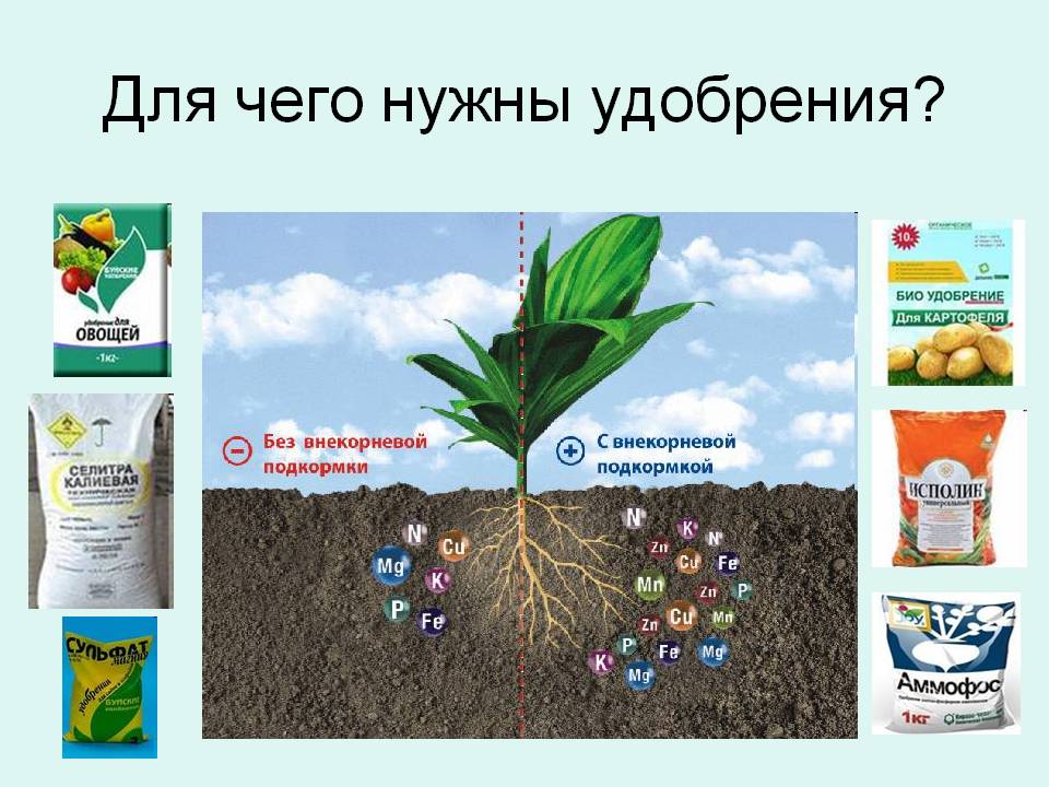 Микроудобрения | справочник пестициды.ru
