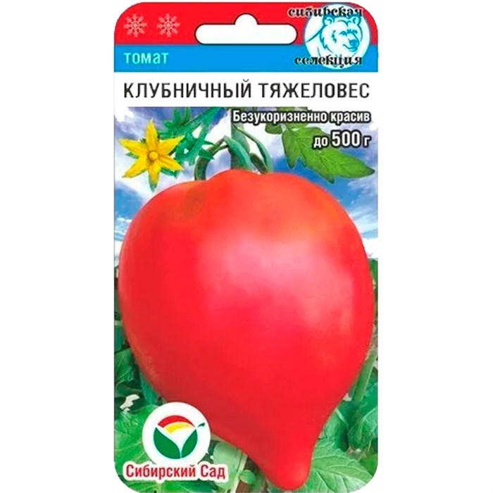 Сорт помидоров сибирский тяжеловес (тяжеловес сибири): отзывы, описание, выращивание, урожайность, характеристики с фото