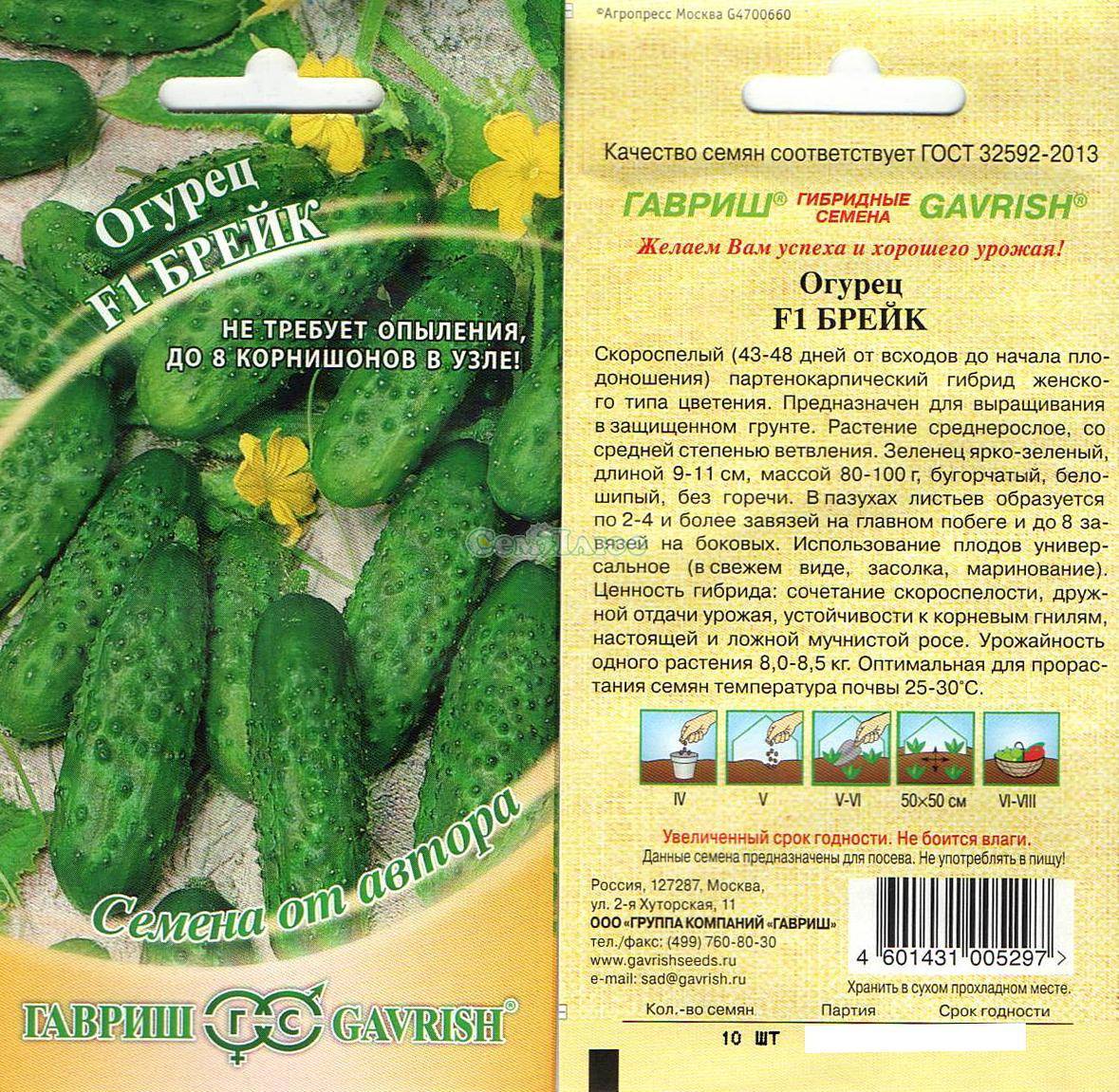 Огурец гармонист f1: описание и урожайность сорта, отзывы, фото