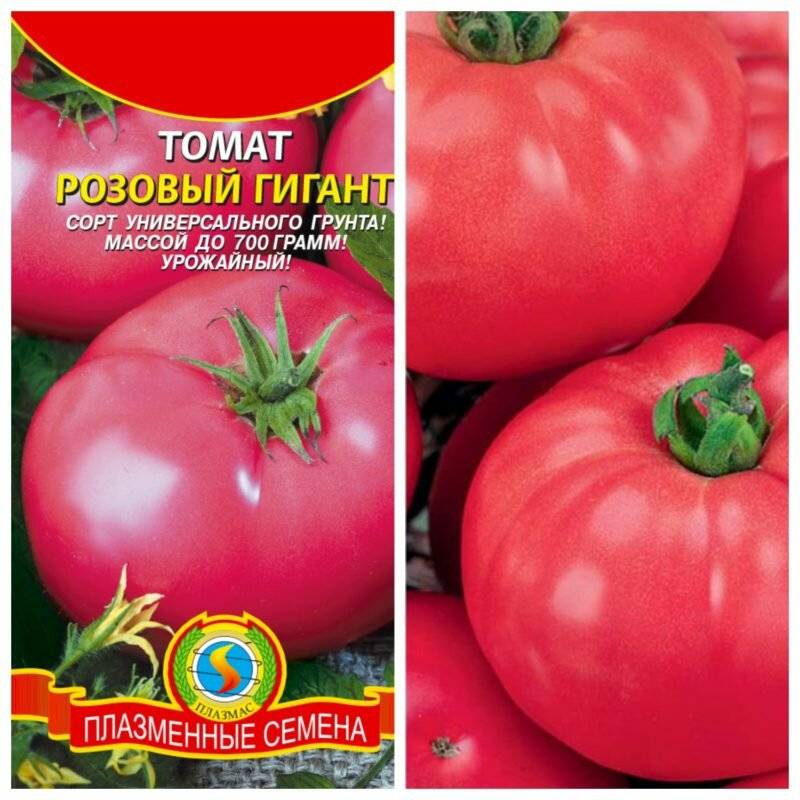 Выращивание, характеристики и описание сорта томата кристалл f1