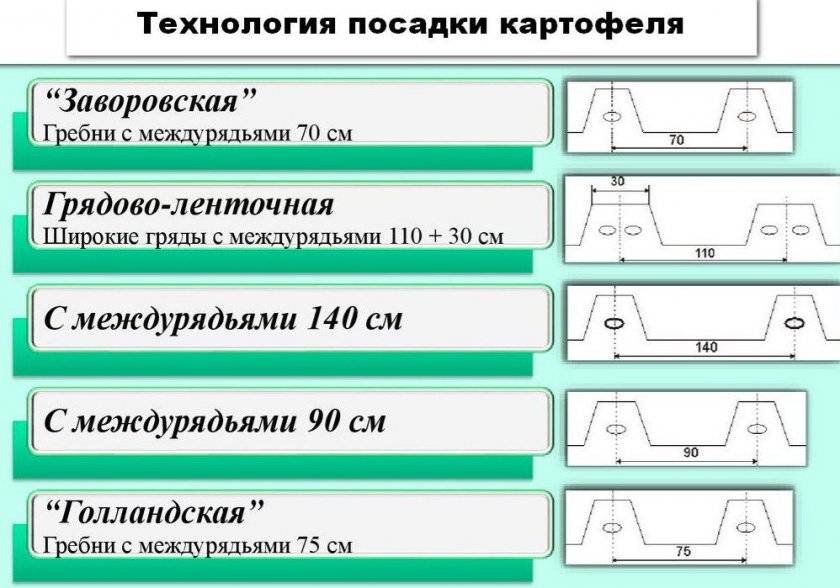Посадка картофеля схема посадки