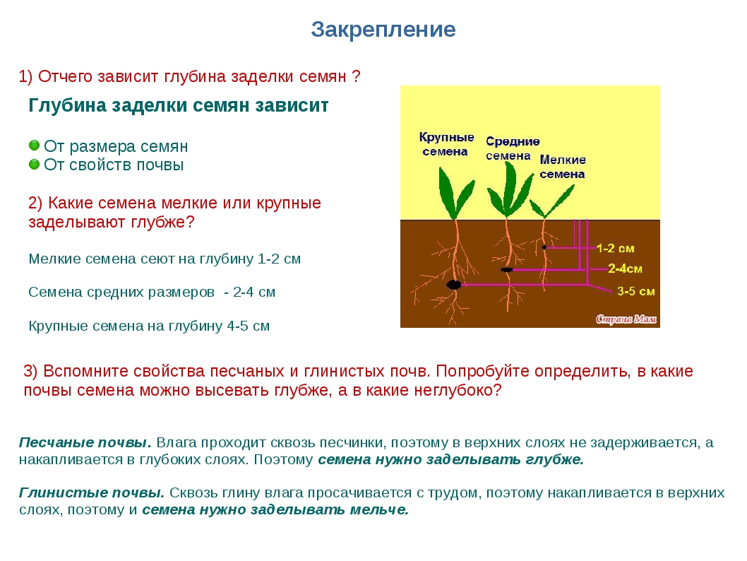 Юность весеннее время человека в которое засеваются семена на будущие годы жизни схема предложения