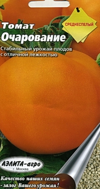 Томат очарование: описание сорта, характеристика, выращивание, отзывы, фото