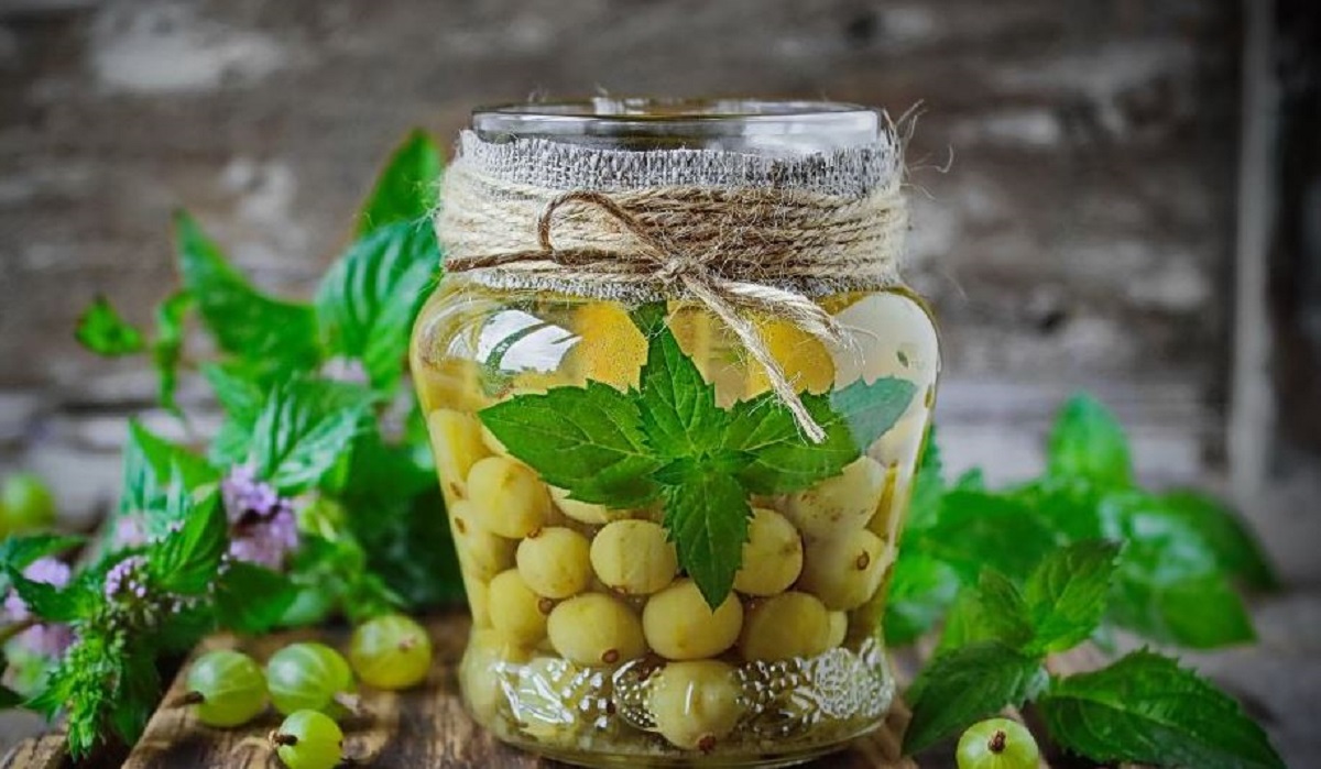 Вкусный компот из крыжовника на зиму: золотые рецепты с фото