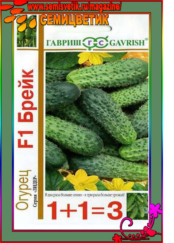 Огурец брейк f1: отзывы об урожайности и формировании, описание сорта, посадка и уход, фото семян гавриш