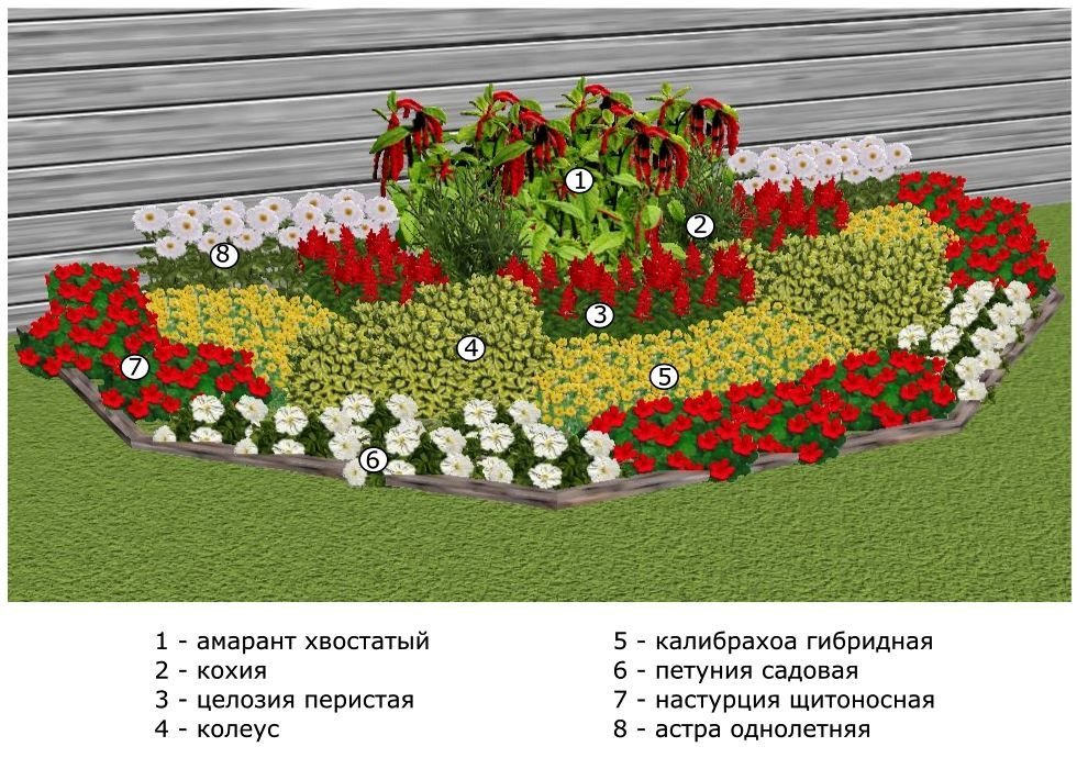 Как можно красиво посадить тюльпаны, схема и идеи для ландшафтного дизайна