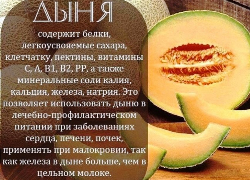 Дыня торпеда: как выбрать, польза и вред, свойства для организма человека, описание сорта с фото
