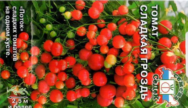 Томат "сладкая гроздь": описание сорта и фото, рекомендации по уходу и выращиванию отличного урожая помидор