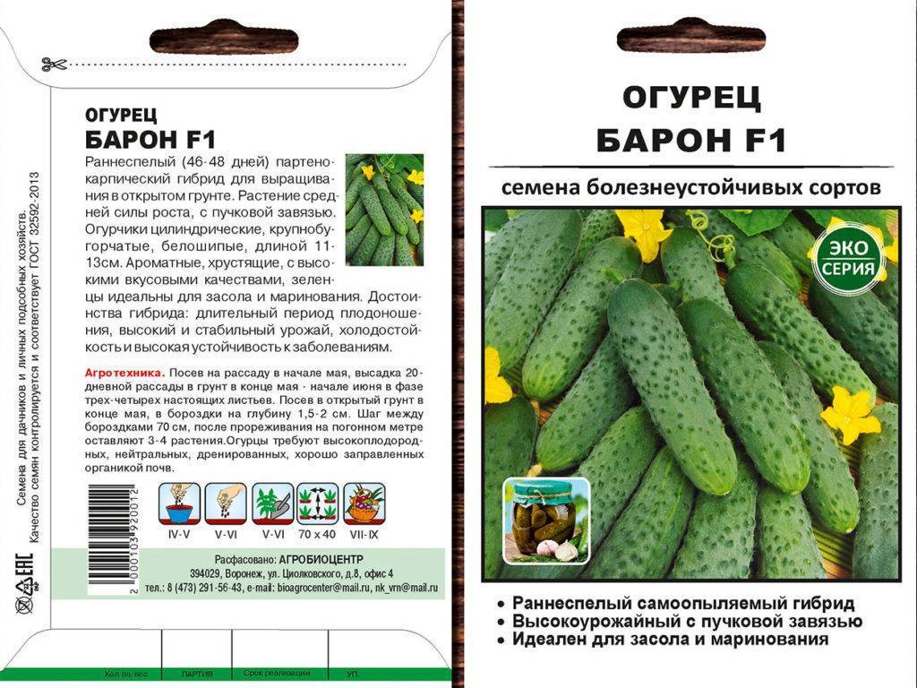 Огурец беттина f1: описание, отзывы, фото, характеристика сорта, урожайность