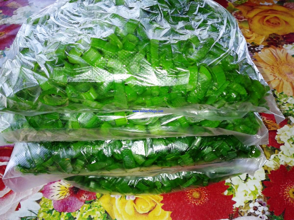 Как можно заморозить лук на зиму в морозилке: заморозка зеленого и репчатого лука » сусеки