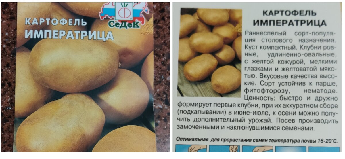 Картофель "удача": описание сорта, фото и характеристика, выращивание картошки и уход за ней