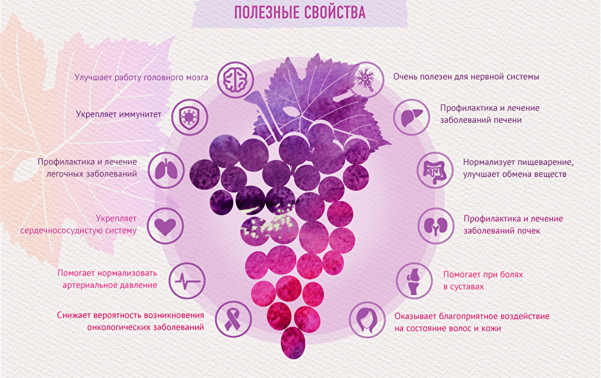 Польза и вред виноградных ягод для организма человека, целебные свойства