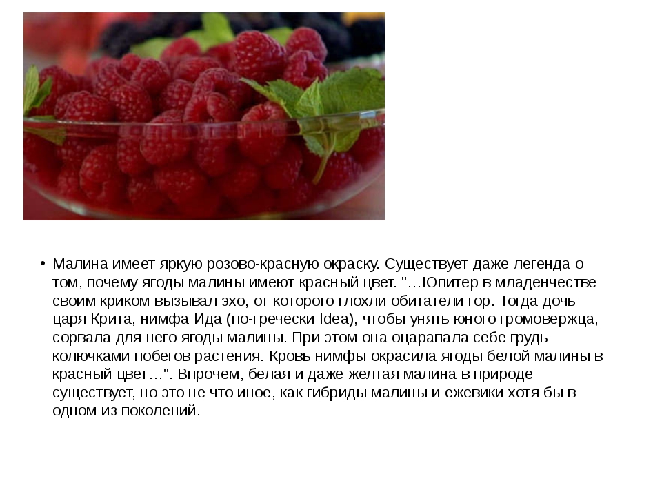 Польза и возможный вред от малины - состав, характеристики и особенности ягоды