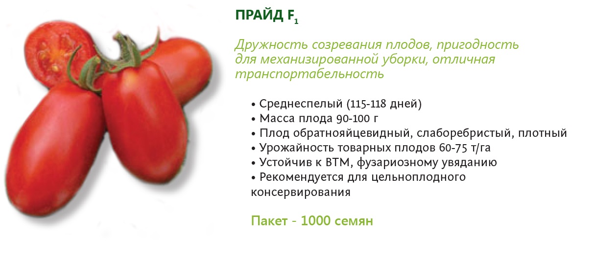Выращивание детерминантных помидор: формирование и пасынкование