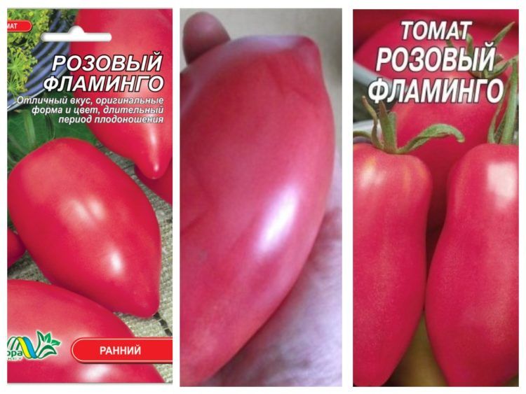 Томат розовый фламинго полосатый: описание и характеристика сорта, фото помидоров, отзывы об урожайности куста