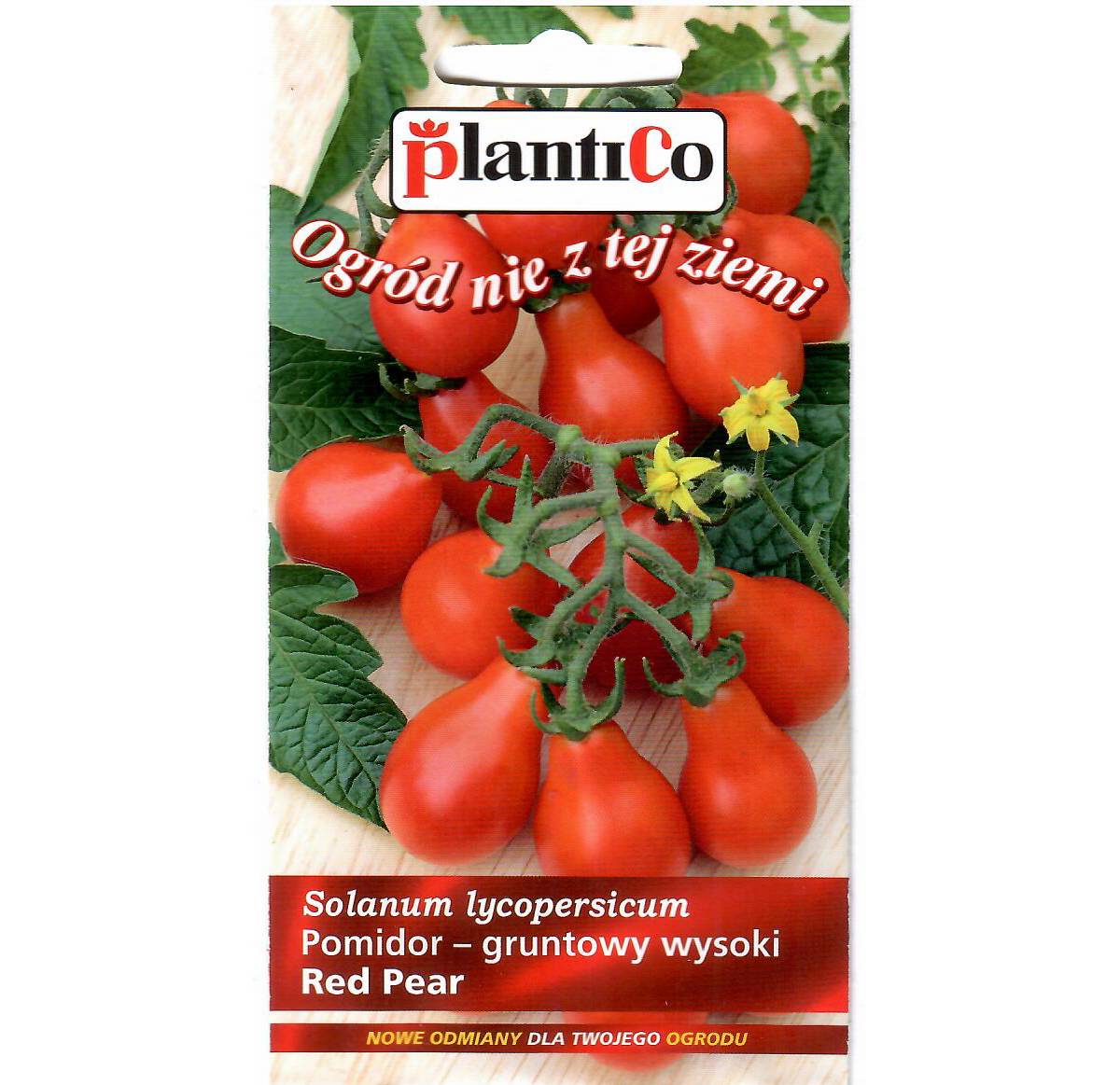 Простой в уходе и нескупой на урожаи томат — курносик: отзывы и описание сорта