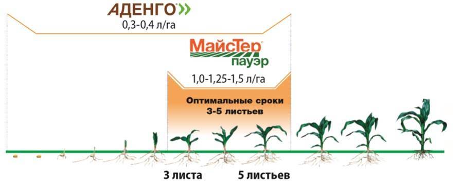 Мастер пауэр гербицид