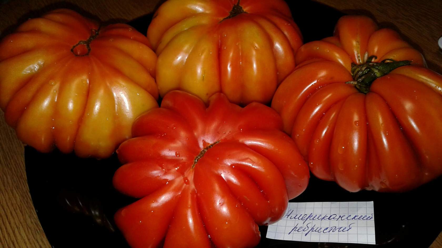 Томат американский ребристый: характеристика и описание сорта, отзывы об урожайности помидоров из семян и фото