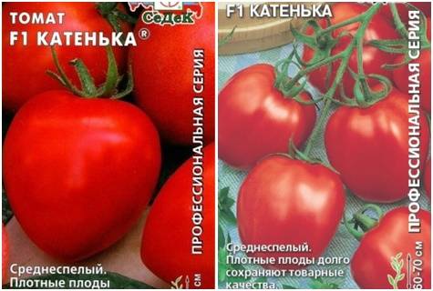 Характеристика и описание томата катя f1, выращивание и уход