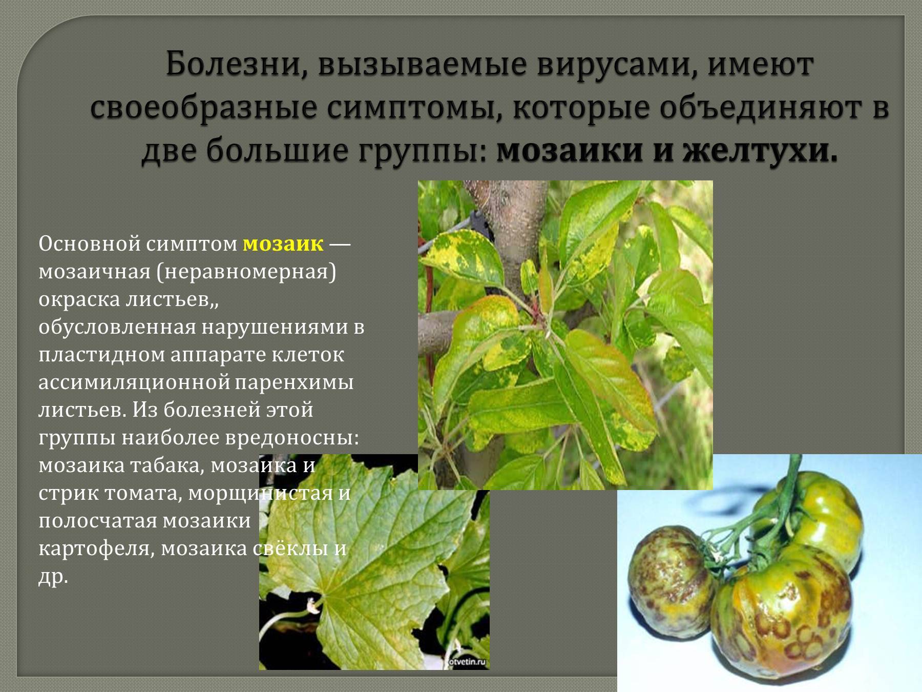 Ветрянка у детей