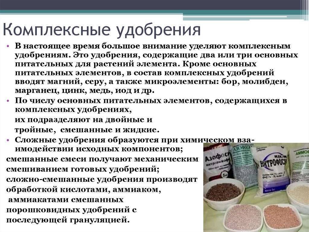 Преципитат: состав и полезные свойства, инструкция по применению удобрения, отзывы