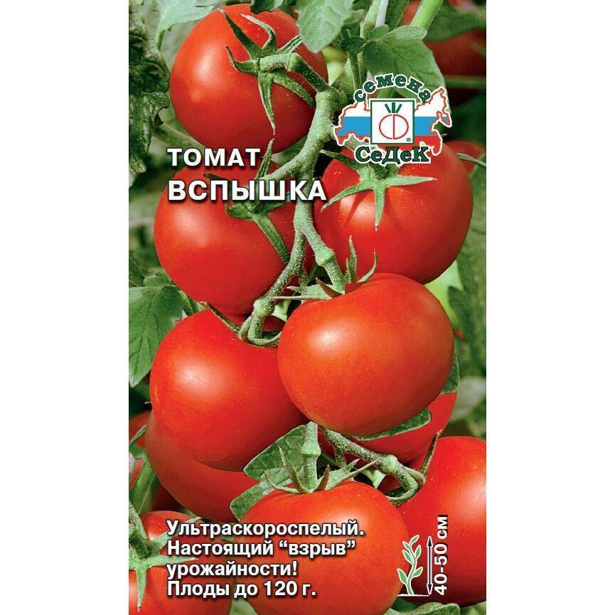 Сорт томата пузата хата: отзывы, описание и характеристики, фото, урожайность, посадка и уход