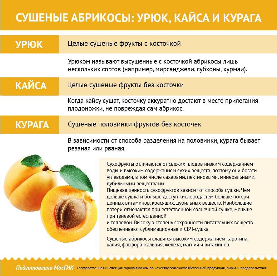 Польза огурцов для организма человека, вред, как влияют