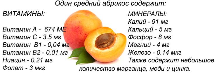 Апельсин