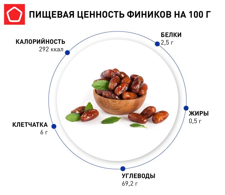 Финики: польза и вред для организма женщины и мужчины