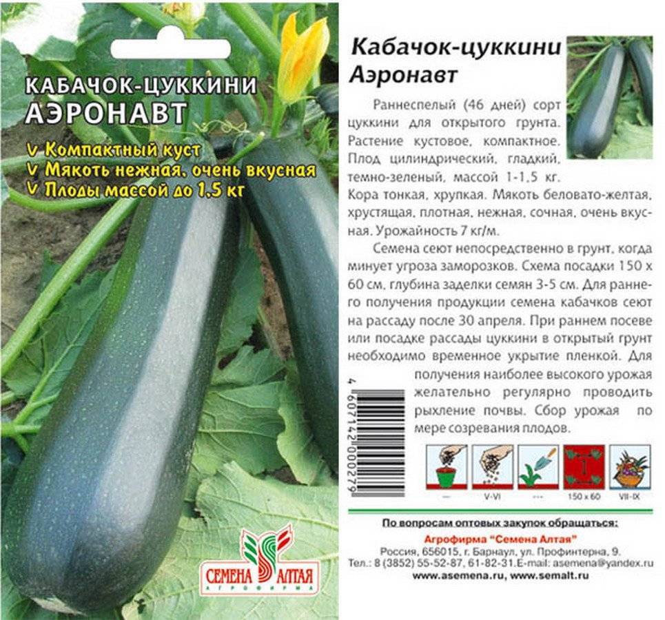 Круглые сорта кабачков: описание сортов, отзывы, фото