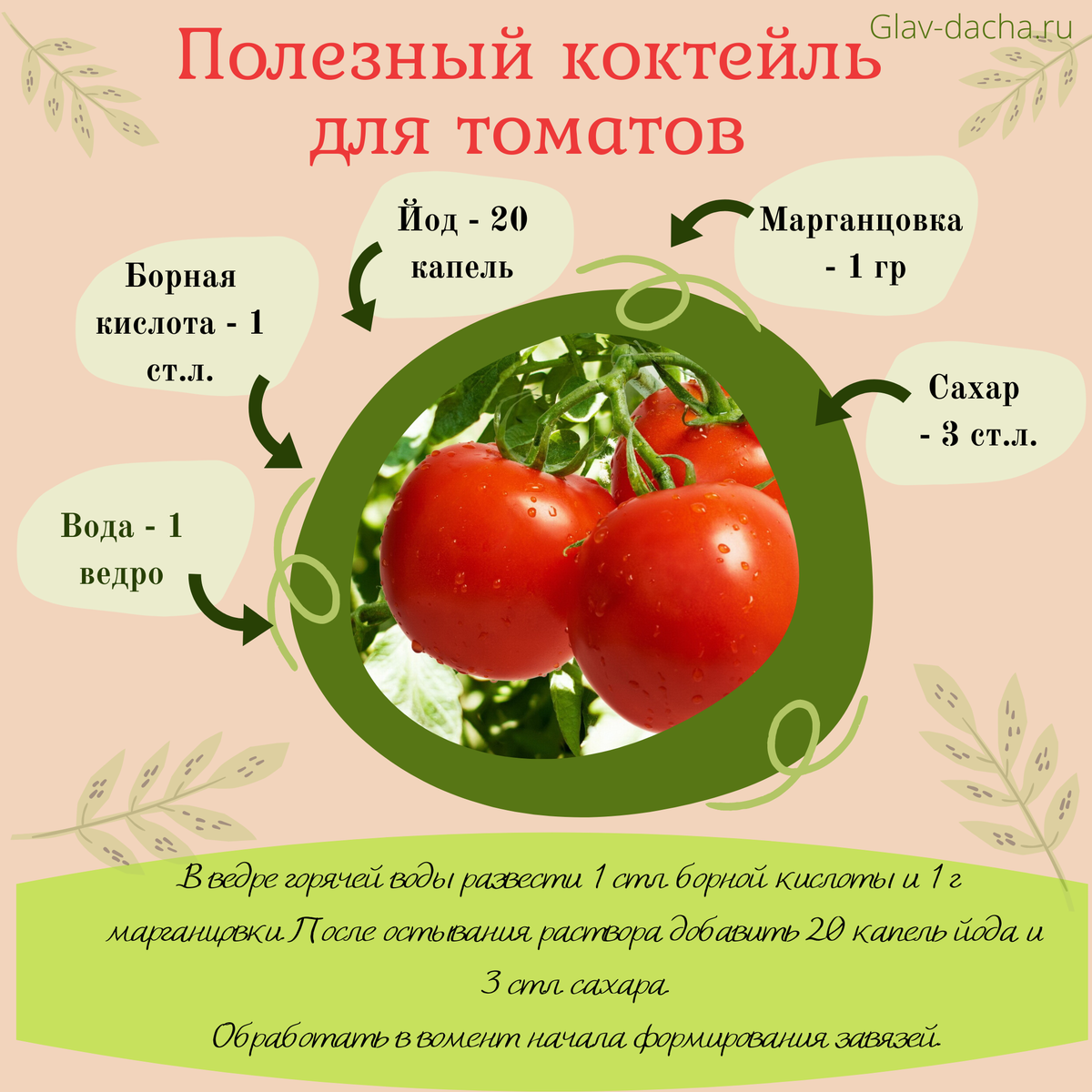 Подкормка йодом рассады томатов и перца, народное средство