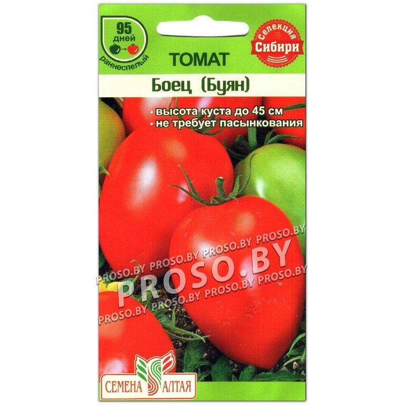 Томат буян (боец): характеристика и описание сорта помидоров, отзывы о его выращивании и урожайности, фото плодов