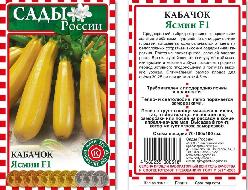 Кабачок апельсинка, нежный зефир и другие желтоплодные сорта: описание и особенности выращивания