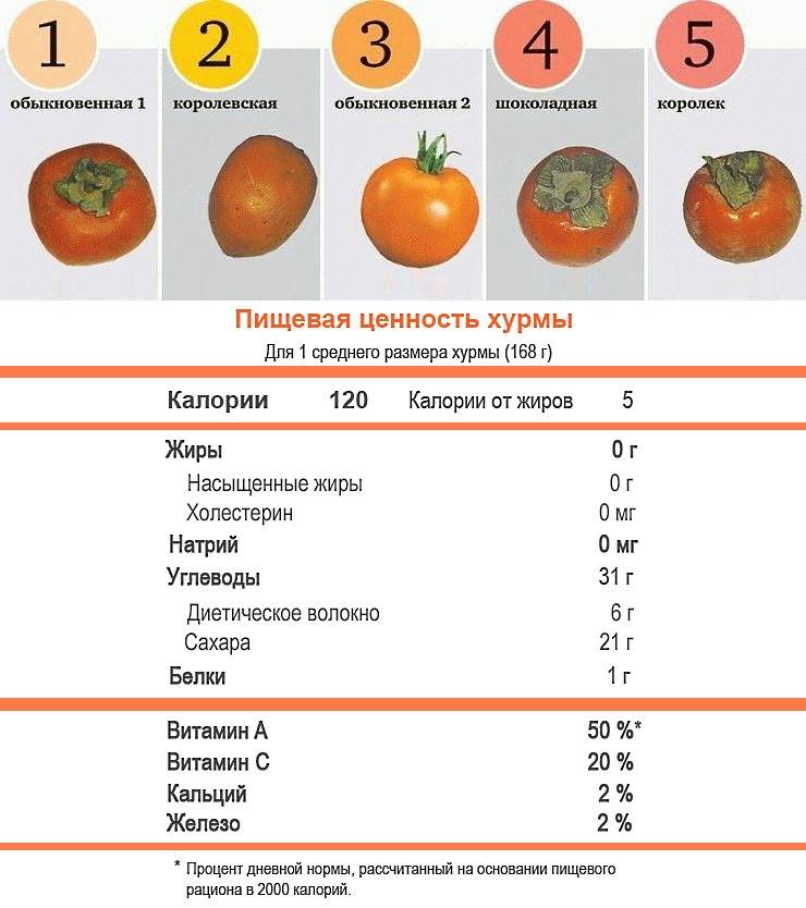 Хурма: польза и вред для организма человека, химический состав и калорийность, советы по применению